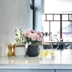 Relaxdays Glaskaraffe Mit Deckel 1,8 Liter 17 Relaxdays Glaskaraffe Mit Deckel 1,8 Liter -Brutzellust Verkaufsgeschäft 2acdd9cbaaa7ab73c65ec93668f244bd