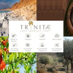 Villeroy & Boch 12 X Design Naif Frühstücksteller Arche Noah Vorteilsset 12 X Art. Nr. 1023372643 Und Gratis 1 Trinitae Körperpflegeprodukt -Brutzellust Verkaufsgeschäft 67077e59e1a1032d5c820cf4eae4ab17