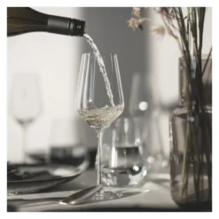 STERNSCHLIFF WEIßWEINGLAS-SET #2 VON DESIGN BY RITZENHOFF -Brutzellust Verkaufsgeschäft 924c4df2ef31882be6e08443b9efb8c1