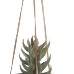 PRESENT TIME Hängetopf Skittle15 X 13,5 Cm Keramik Grün -Brutzellust Verkaufsgeschäft d45225b056f7d29ab73bac1d6c66828a